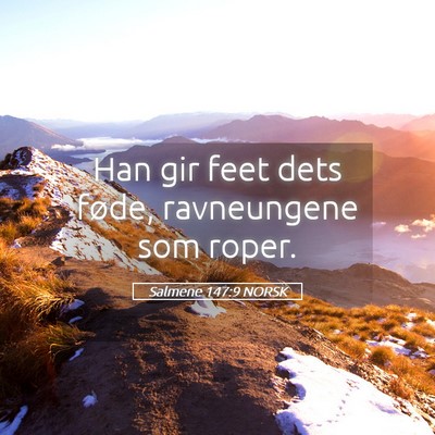 Picture 05 - Salmene 147:9 NORSK - Han gir feet dets føde, ravneungene som - Bible Verse Picture