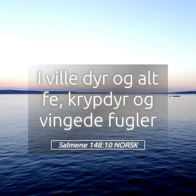 Picture 05 - Salmene 148:10 NORSK - I ville dyr og alt fe, krypdyr og vingede - Bible Verse Picture