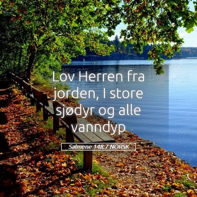Picture 05 - Salmene 148:7 NORSK - Lov Herren fra jorden, I store sjødyr og alle - Bible Verse Picture
