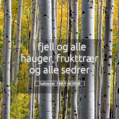 Picture 05 - Salmene 148:9 NORSK - I fjell og alle hauger, frukttrær og alle - Bible Verse Picture