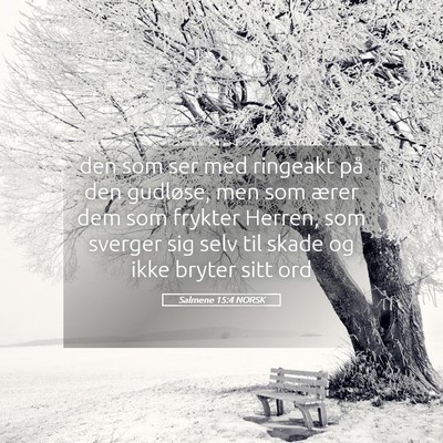 Picture 05 - Salmene 15:4 NORSK - den som ser med ringeakt på den gudløse, men - Bible Verse Picture
