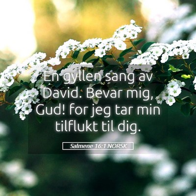 Picture 05 - Salmene 16:1 NORSK - En gyllen sang av David. Bevar mig, Gud! for jeg - Bible Verse Picture