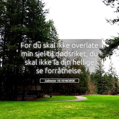 Picture 05 - Salmene 16:10 NORSK - For du skal ikke overlate min sjel til - Bible Verse Picture