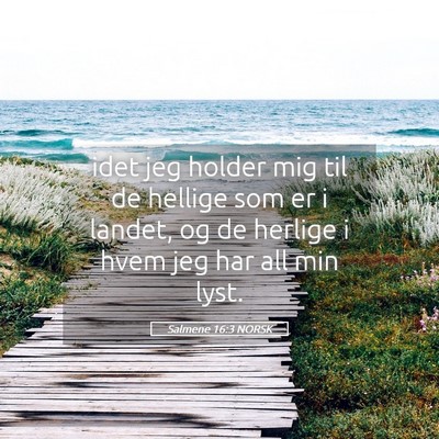 Picture 05 - Salmene 16:3 NORSK - idet jeg holder mig til de hellige som er i - Bible Verse Picture