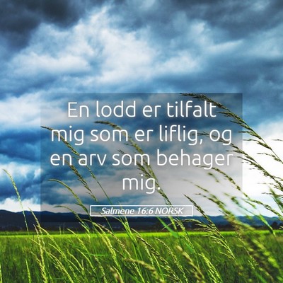 Picture 05 - Salmene 16:6 NORSK - En lodd er tilfalt mig som er liflig, og en arv - Bible Verse Picture