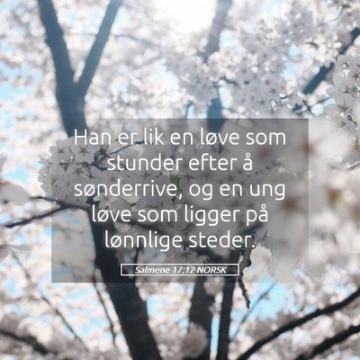 Picture 05 - Salmene 17:12 NORSK - Han er lik en løve som stunder efter å - Bible Verse Picture