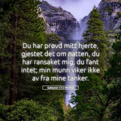 Picture 05 - Salmene 17:3 NORSK - Du har prøvd mitt hjerte, gjestet det om natten, - Bible Verse Picture
