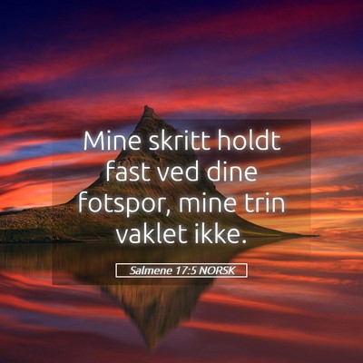 Picture 05 - Salmene 17:5 NORSK - Mine skritt holdt fast ved dine fotspor, mine - Bible Verse Picture