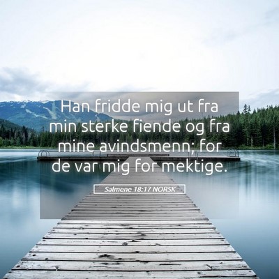 Picture 05 - Salmene 18:17 NORSK - Han fridde mig ut fra min sterke fiende og fra - Bible Verse Picture