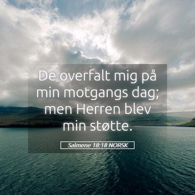 Picture 05 - Salmene 18:18 NORSK - De overfalt mig på min motgangs dag; men Herren - Bible Verse Picture
