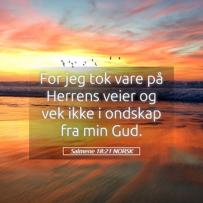 Picture 05 - Salmene 18:21 NORSK - For jeg tok vare på Herrens veier og vek ikke i - Bible Verse Picture