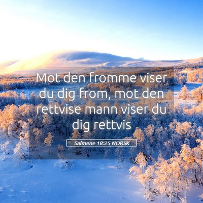 Picture 05 - Salmene 18:25 NORSK - Mot den fromme viser du dig from, mot den - Bible Verse Picture