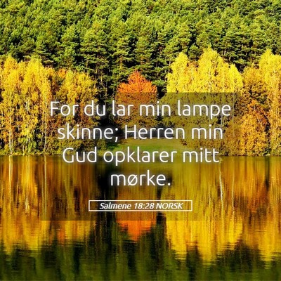 Picture 05 - Salmene 18:28 NORSK - For du lar min lampe skinne; Herren min Gud - Bible Verse Picture