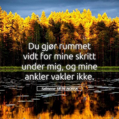 Picture 05 - Salmene 18:36 NORSK - Du gjør rummet vidt for mine skritt under mig, - Bible Verse Picture