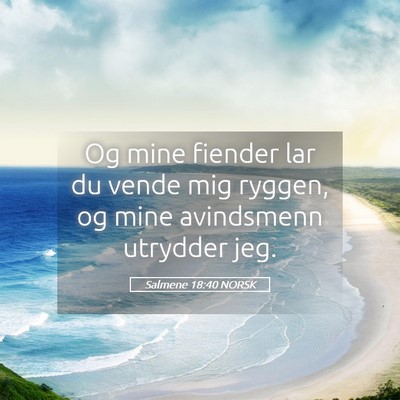 Picture 05 - Salmene 18:40 NORSK - Og mine fiender lar du vende mig ryggen, og mine - Bible Verse Picture