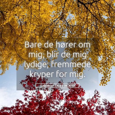 Picture 05 - Salmene 18:44 NORSK - Bare de hører om mig, blir de mig lydige; - Bible Verse Picture