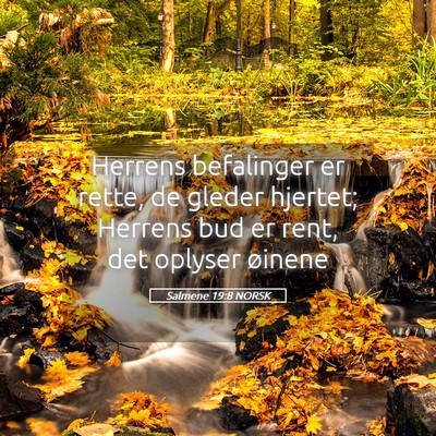 Picture 05 - Salmene 19:8 NORSK - Herrens befalinger er rette, de gleder hjertet; - Bible Verse Picture