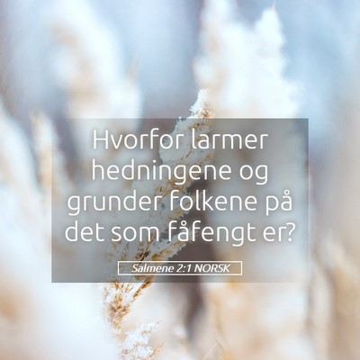 Picture 05 - Salmene 2:1 NORSK - Hvorfor larmer hedningene og grunder folkene på - Bible Verse Picture