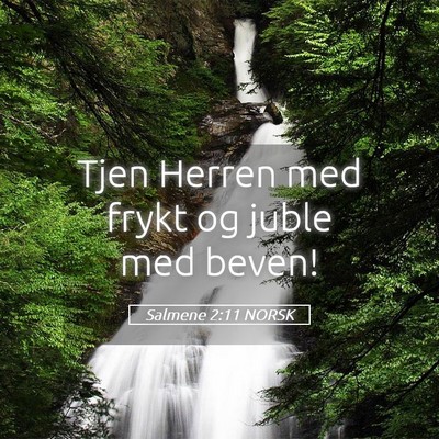 Picture 05 - Salmene 2:11 NORSK - Tjen Herren med frykt og juble med - Bible Verse Picture