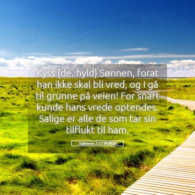 Picture 05 - Salmene 2:12 NORSK - Kyss {de. hyld} Sønnen, forat han ikke skal bli - Bible Verse Picture