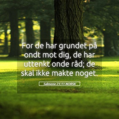 Picture 05 - Salmene 21:11 NORSK - For de har grundet på ondt mot dig, de har - Bible Verse Picture