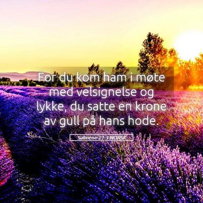 Picture 05 - Salmene 21:3 NORSK - For du kom ham i møte med velsignelse og lykke, - Bible Verse Picture