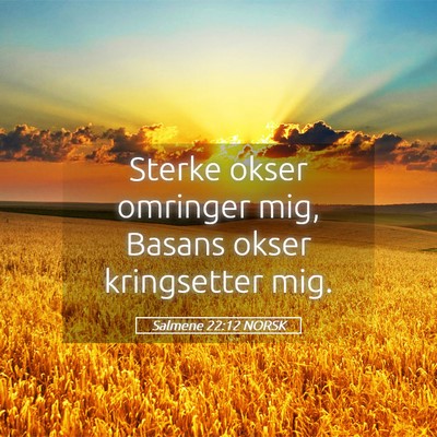 Picture 05 - Salmene 22:12 NORSK - Sterke okser omringer mig, Basans okser - Bible Verse Picture