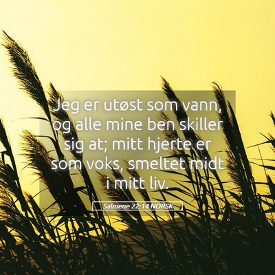 Picture 05 - Salmene 22:14 NORSK - Jeg er utøst som vann, og alle mine ben skiller - Bible Verse Picture