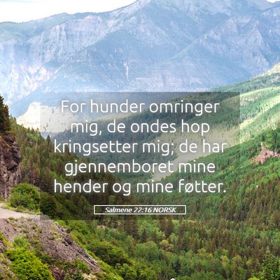 Picture 05 - Salmene 22:16 NORSK - For hunder omringer mig, de ondes hop kringsetter - Bible Verse Picture