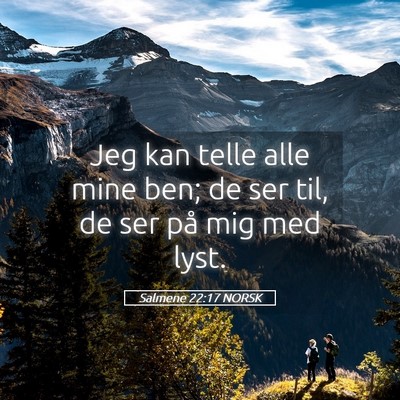 Picture 05 - Salmene 22:17 NORSK - Jeg kan telle alle mine ben; de ser til, de ser - Bible Verse Picture