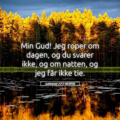 Picture 05 - Salmene 22:2 NORSK - Min Gud! Jeg roper om dagen, og du svarer ikke, - Bible Verse Picture