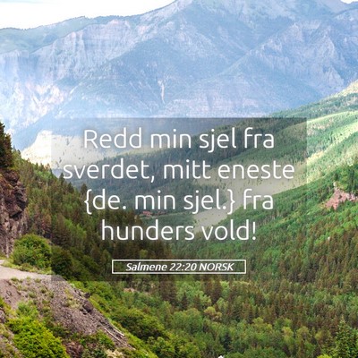 Picture 05 - Salmene 22:20 NORSK - Redd min sjel fra sverdet, mitt eneste {de. min - Bible Verse Picture