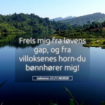 Picture 05 - Salmene 22:21 NORSK - Frels mig fra løvens gap, og fra villoksenes - Bible Verse Picture