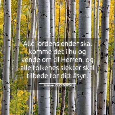 Picture 05 - Salmene 22:27 NORSK - Alle jordens ender skal komme det i hu og vende - Bible Verse Picture