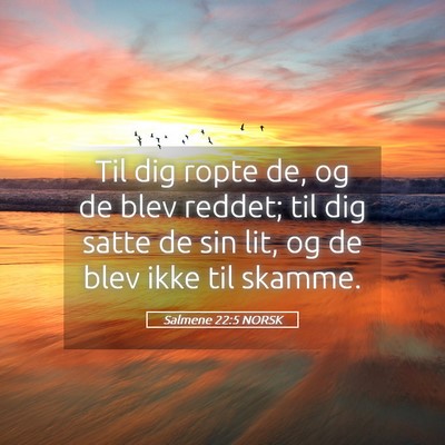 Picture 05 - Salmene 22:5 NORSK - Til dig ropte de, og de blev reddet; til dig - Bible Verse Picture