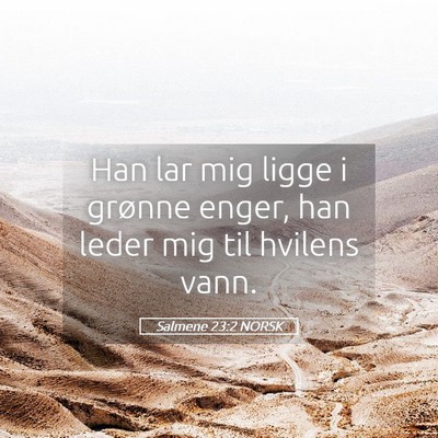 Picture 05 - Salmene 23:2 NORSK - Han lar mig ligge i grønne enger, han leder mig - Bible Verse Picture