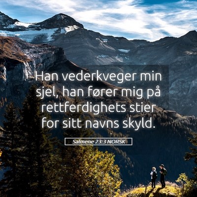 Picture 05 - Salmene 23:3 NORSK - Han vederkveger min sjel, han fører mig på - Bible Verse Picture