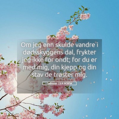 Picture 05 - Salmene 23:4 NORSK - Om jeg enn skulde vandre i dødsskyggens dal, - Bible Verse Picture