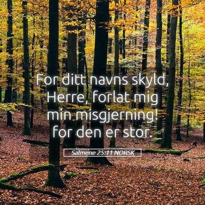 Picture 05 - Salmene 25:11 NORSK - For ditt navns skyld, Herre, forlat mig min - Bible Verse Picture
