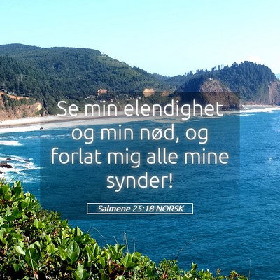 Picture 05 - Salmene 25:18 NORSK - Se min elendighet og min nød, og forlat mig alle - Bible Verse Picture