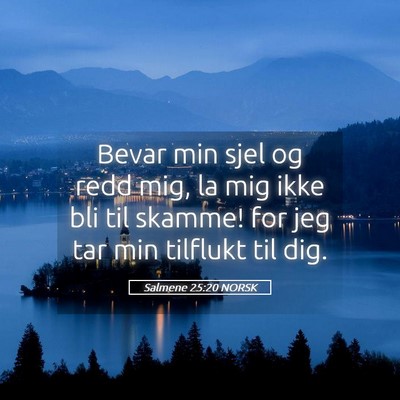 Picture 05 - Salmene 25:20 NORSK - Bevar min sjel og redd mig, la mig ikke bli til - Bible Verse Picture