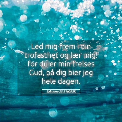 Picture 05 - Salmene 25:5 NORSK - Led mig frem i din trofasthet og lær mig! for du - Bible Verse Picture