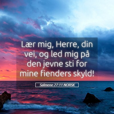 Picture 05 - Salmene 27:11 NORSK - Lær mig, Herre, din vei, og led mig på den - Bible Verse Picture