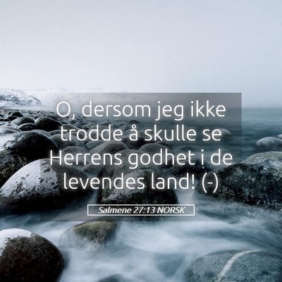 Picture 05 - Salmene 27:13 NORSK - O, dersom jeg ikke trodde å skulle se Herrens - Bible Verse Picture