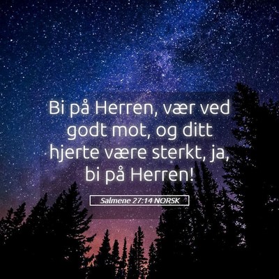 Picture 05 - Salmene 27:14 NORSK - Bi på Herren, vær ved godt mot, og ditt hjerte - Bible Verse Picture