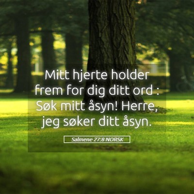 Picture 05 - Salmene 27:8 NORSK - Mitt hjerte holder frem for dig ditt ord : Søk - Bible Verse Picture