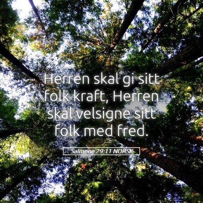 Picture 05 - Salmene 29:11 NORSK - Herren skal gi sitt folk kraft, Herren skal - Bible Verse Picture