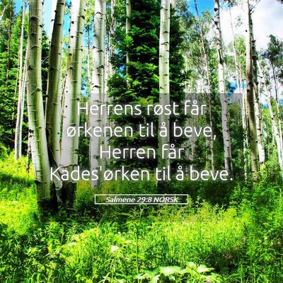 Picture 05 - Salmene 29:8 NORSK - Herrens røst får ørkenen til å beve, Herren - Bible Verse Picture