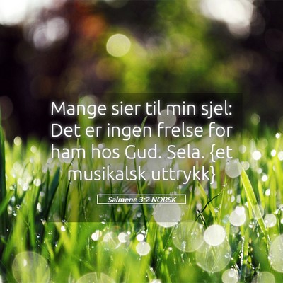 Picture 05 - Salmene 3:2 NORSK - Mange sier til min sjel: Det er ingen frelse for - Bible Verse Picture