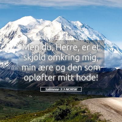 Picture 05 - Salmene 3:3 NORSK - Men du, Herre, er et skjold omkring mig, min ære - Bible Verse Picture